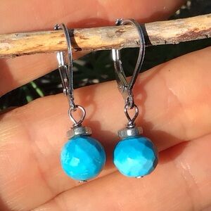 Turquoise Silver Earrings Sundance Charm